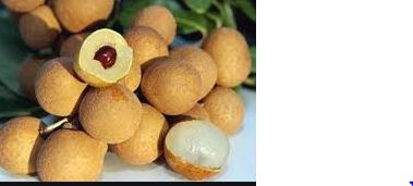 Quả nhãn