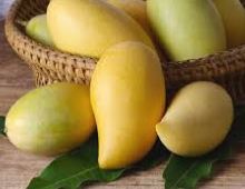 Quả xoài
